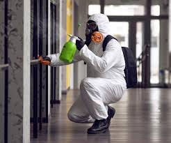 Mold Remediation for Rental Properties